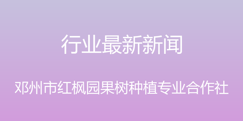 行业最新新闻 - 邓州市红枫园果树种植专业合作社